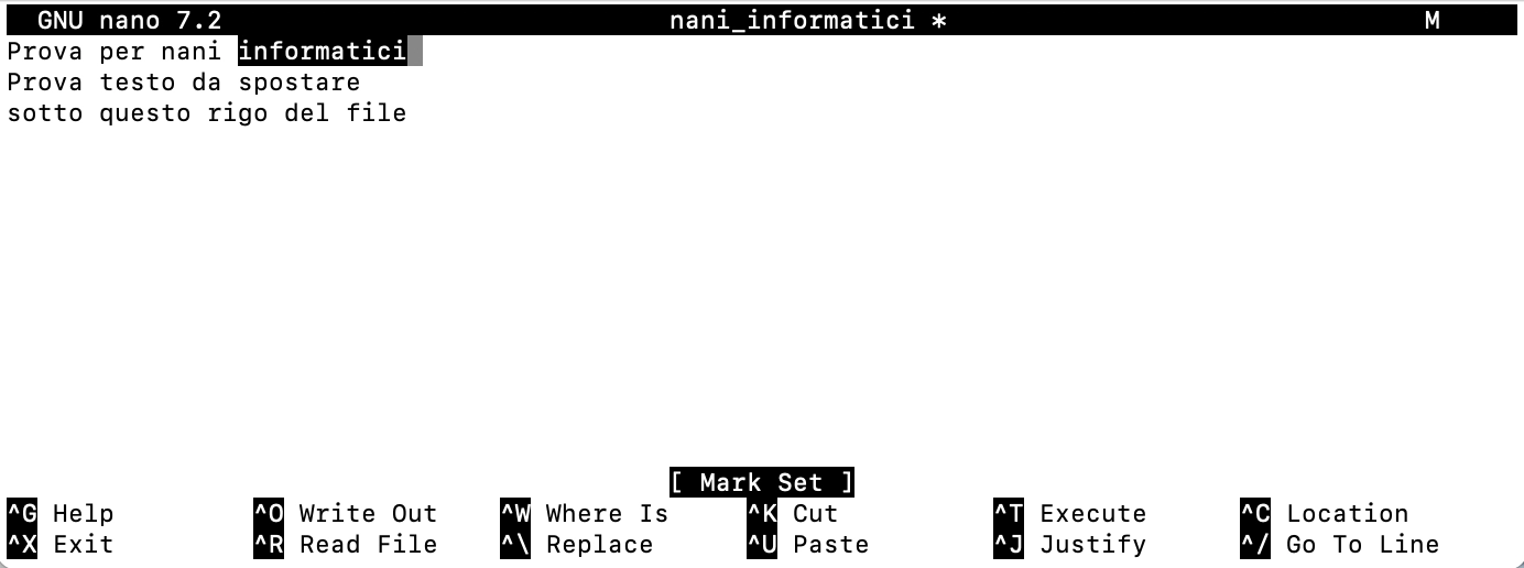 install nano
